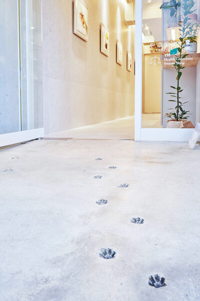 The Health Conscious Sweets Shop ユニフォーム